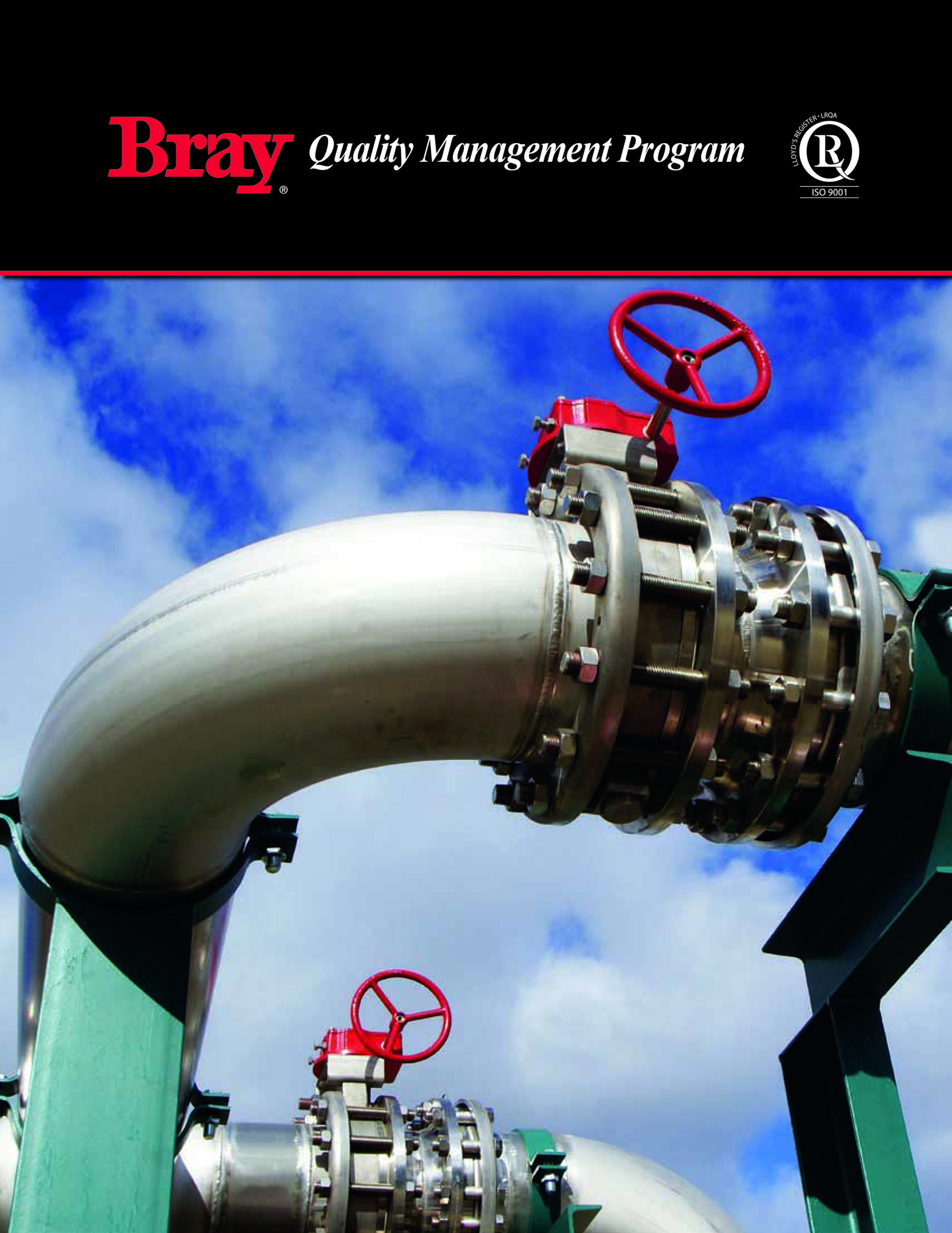 Bray Quality Management Program